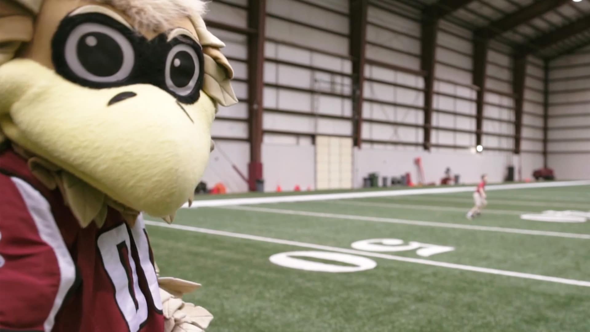 rise up falcons atlanta video production
