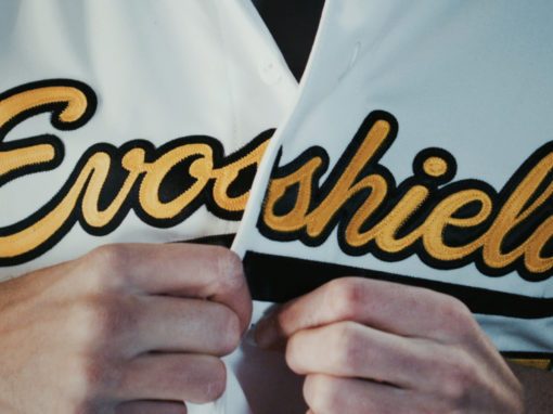 Customer Success / Evoshield