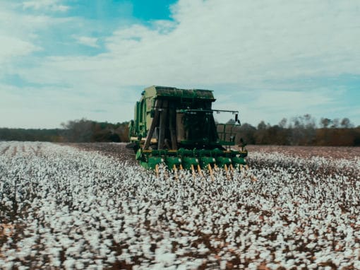 Georgia Farm Bureau // Brand Video