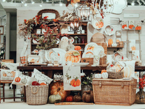 Mud Pie // Digital Showroom