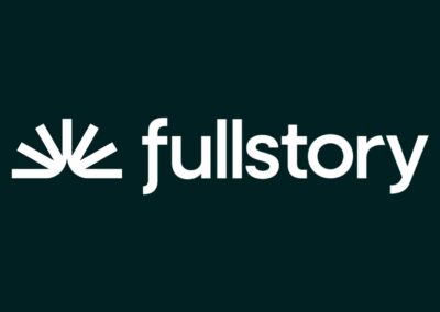 Fullstory // StoryAI Hype