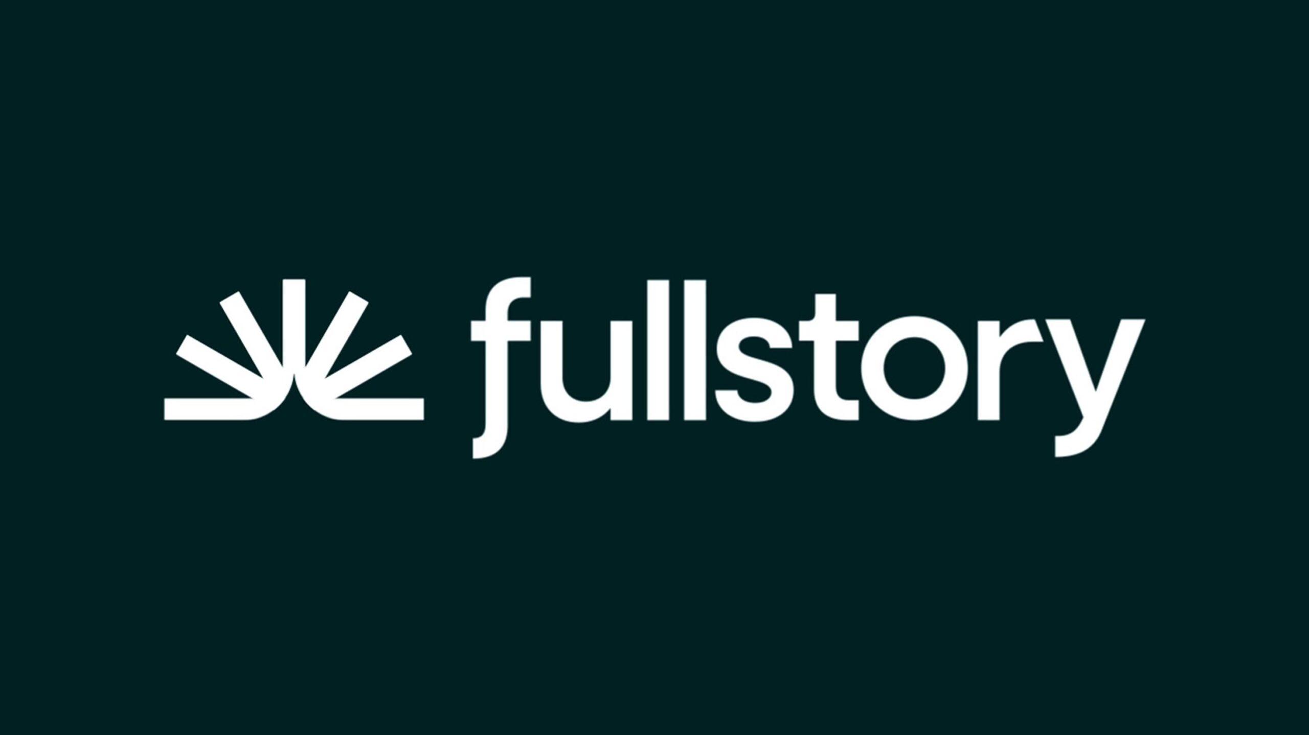 Fullstory // StoryAI Hype